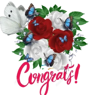 🥳 emoji ⏤͟͟͞❥͜͡𓄂ܓ🅐𝐫𝐲𝐚𝐧࿐» Telegram sticker 5 of 80