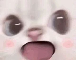 😽 emoji 早睡早起身体好 @GD_LM Telegram sticker 17 of 70