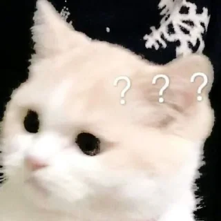 😼 emoji 〃kucing﹆ @stikerpacktele Telegram sticker 23 of 57