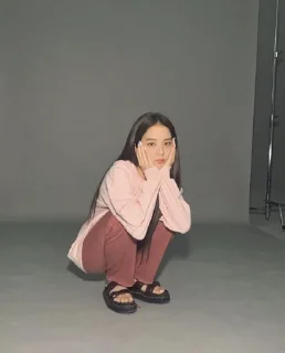 Sticker from Jisoo @stikerpacktele