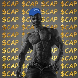 Sticker from please be patient, i have autism $CAP