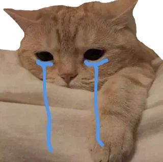 🥺 emoji cats Telegram sticker 19 of 30