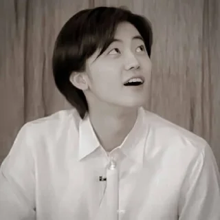🐴 emoji NCJAEMIN @leviosastory Telegram sticker 15 of 38