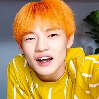 💚 emoji ʚ NCT's Random Memes ꉂ𓃠𓏧 @stickernct ɞ Telegram sticker 15 of 44