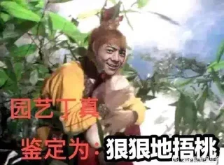 🥵 emoji 一眼丁真 @dingzhenyuzhou 频道维护 Telegram sticker 10 of 113