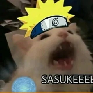 😃 emoji babi kau Telegram sticker 20 of 37