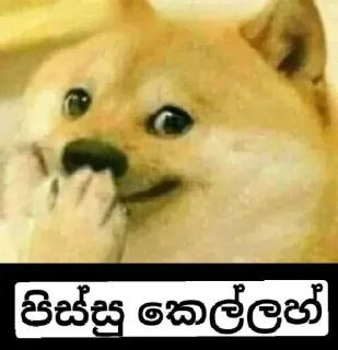 😉 emoji Memes SL Telegram sticker 19 of 41