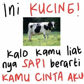 🐶 emoji thoriq 2 bulan uda haji Telegram sticker 18 of 81