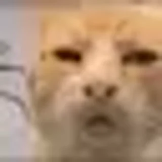 Sticker from 𝘈𝘨𝘩𝘪𝘴𝘯𝘢's video sticker kang pack