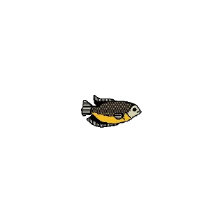 Sticker from Fish - KampungMaifam
