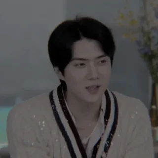 🥢 emoji ❛ - ̗̀sehun @JOANNAGLADIE18 Telegram sticker 22 of 40