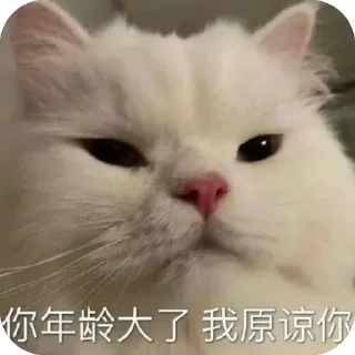 🫥 emoji 海豚有海 Telegram sticker 21 of 120