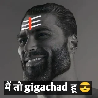 Sticker from Madhav Shishya🗿🕉🚩 @Muzammil_72