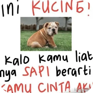 🐶 emoji kuda lumping Telegram sticker 10 of 12