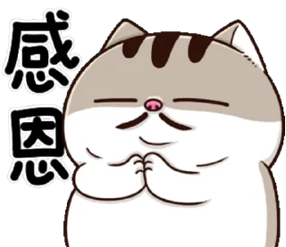 🙏 emoji 肖阿爸 🐾 @StickerPlay_meow Telegram sticker 7 of 41