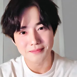🕸 emoji @ALDBRN008 suho Telegram sticker 15 of 38