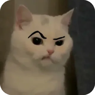 Sticker from .