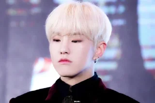 🐯 emoji KWON SOONYOUNG Telegram sticker 22 of 76