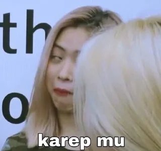 🙂 emoji @dicipunyasticker kpop meme Telegram sticker 13 of 70