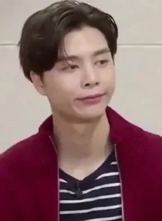 🙂 emoji random nct ala @lokalucas Telegram sticker 24 of 30