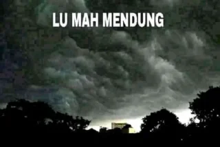 Sticker from meme hasil nyolong