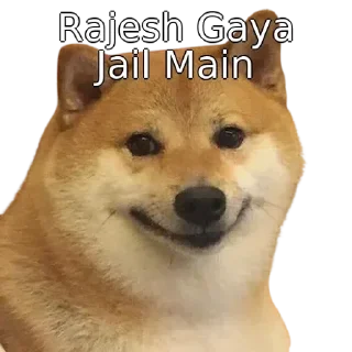 😎 emoji 『तेरा बाप』LeGiT's Sticker Pack Telegram sticker 9 of 88