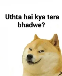 😁 emoji @Darbar07 doge pack Telegram sticker 7 of 72