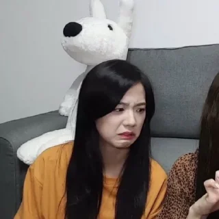 😃 emoji Jisoo meme @stikermemeidolkpop Telegram sticker 24 of 38