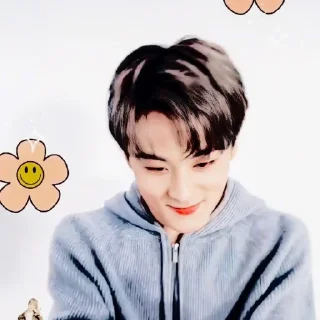 🚁 emoji @inumeowki , mark lee ◡̈ Telegram sticker 14 of 40
