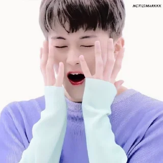 🚁 emoji @inumeowki , mark lee ◡̈ Telegram sticker 9 of 40