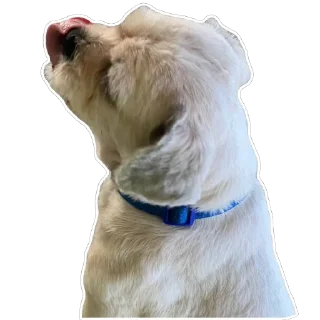 🫥 emoji yowi Telegram sticker 10 of 11