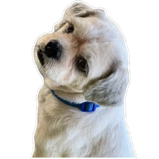 🫥 emoji yowi Telegram sticker 9 of 11