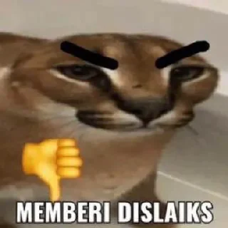🙄 emoji Kocak Telegram sticker 20 of 47