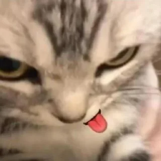 😋 emoji 144p Telegram sticker 18 of 19