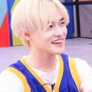 🐬 emoji Soft Chenle by @stickernct Telegram sticker 11 of 43