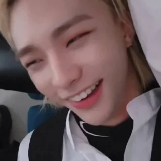 🦙 emoji @inixeyla : hyunjin Telegram sticker 11 of 40