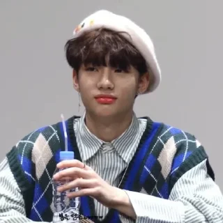 🦙 emoji @inixeyla : hyunjin Telegram sticker 20 of 40