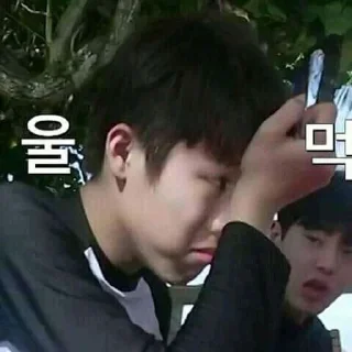 🐺 emoji jeongwoo mood’s Telegram sticker 15 of 27