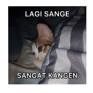 🥰 emoji punya zyv @kyorazyv Telegram sticker 6 of 21