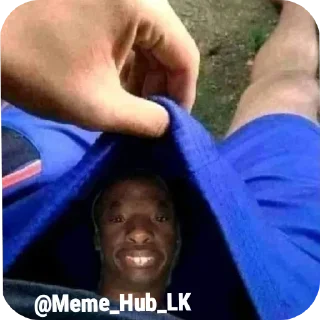 🥲 emoji Meme Hub Lk (@Meme_Hub_LK) Telegram sticker 6 of 32