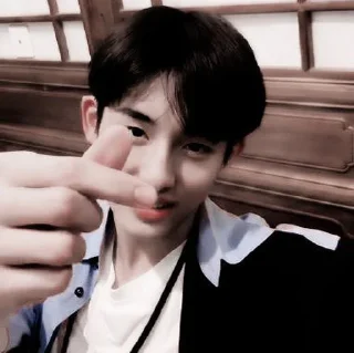 🍗 emoji +:‧₊ winwin @stickernct Telegram sticker 4 of 20