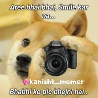 Sticker from @kanishk_memer