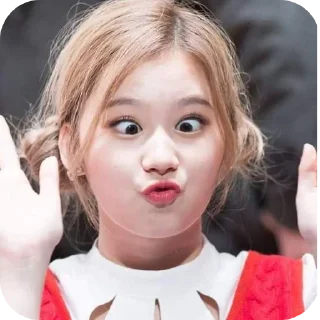 🙂 emoji 💥SANA Reactions💥 ➡️@SANAI5LIF3 Telegram sticker 22 of 65