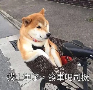 🐶 emoji 好澀 Telegram sticker 15 of 30