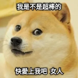 🐶 emoji 好澀 Telegram sticker 13 of 30