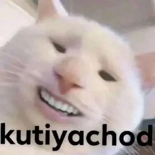 🤣 emoji Kanger man Telegram sticker 16 of 120