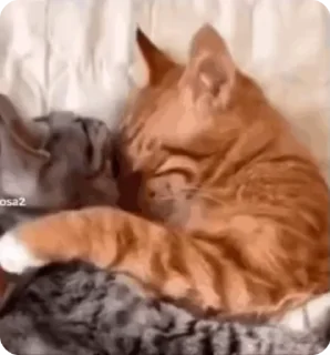 Sticker from mwehehe @marlbor0u