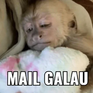 🐶 emoji jea, mail pride Telegram sticker 18 of 25