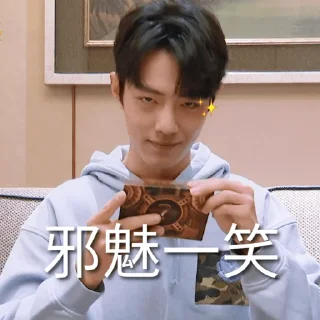 😏 emoji 肖战 - Bern Telegram sticker 20 of 120