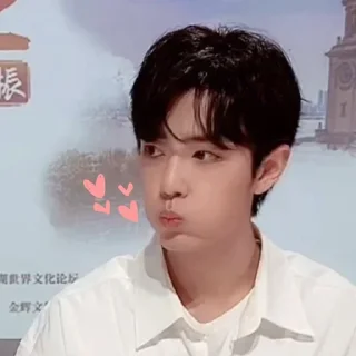 😘 emoji 肖战 - Bern Telegram sticker 21 of 120